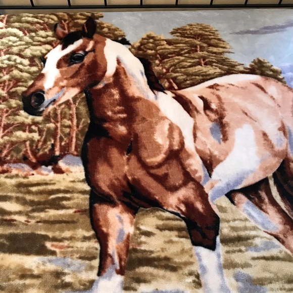 Paisano Plush Blanket Spring Pony Double Sided - Picture 2 of 6